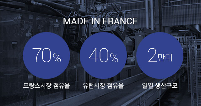 made in france 프랑스 점유율70%, 유럽시장 점유율 40%, 일일 생산규모 2만대